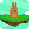 rabbit jump